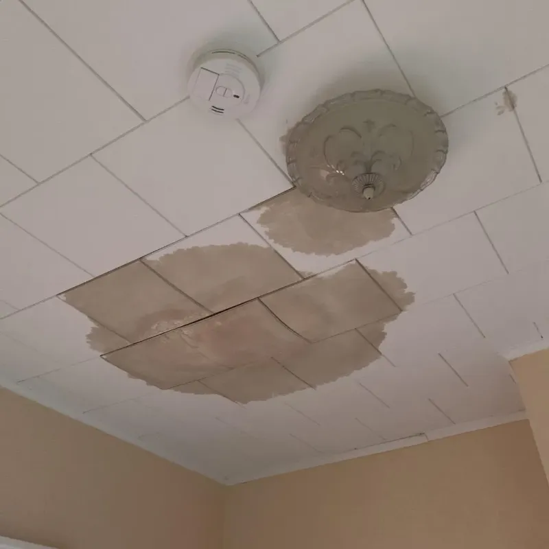 Ceiling Water Damage Repair in Sabetha, KS