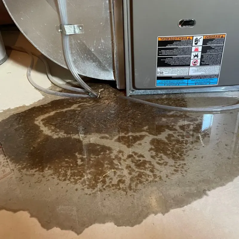 Pipe Burst and Leak Restoration in Sabetha, KS