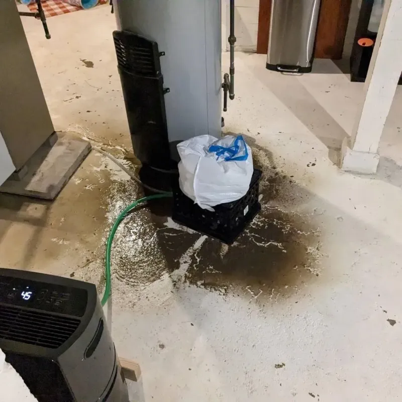 Sewage Backup Cleanup Service in Sabetha, KS